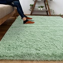 DweIke Fluffy Sage Green Rugs for Bedroom Living