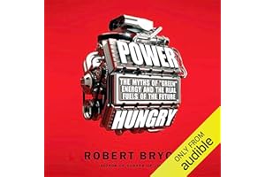 Power Hungry: The Myths of 'Green' Energy and the Real Fuels of the Future