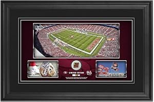 SPORTS MEMORABILIA San Francisco 49ers Framed 10" x 18" Stadium Panoramic Collage with Game-Used Football - Limited Edition of 500 - NFL Game Used Football Collages