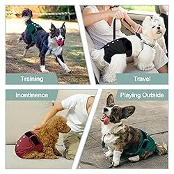 Grecle 3 Pack Female Dog Diapers - Reusable Diapers