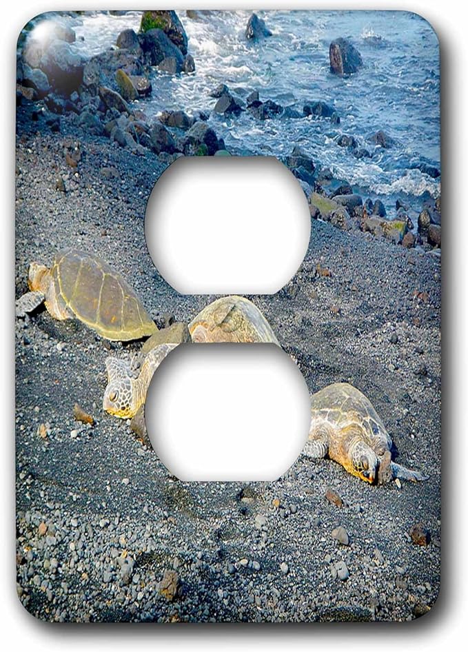 3dRose lsp_232789_6 2 plug outlet cover