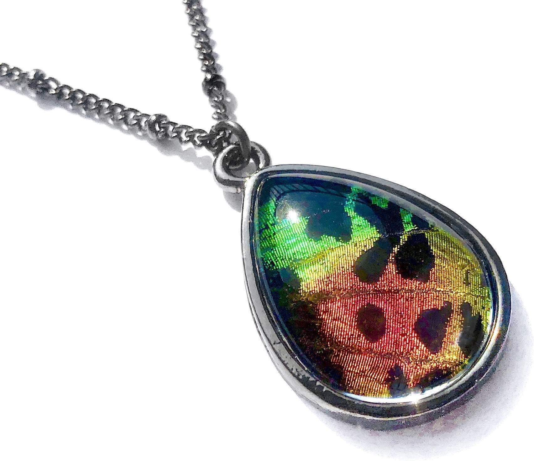 Real Butterfly Wing necklace Taxidermy Moth necklace Real moth pendant necklace Preserved insect necklace Gunmetal Sunset moth teardrop