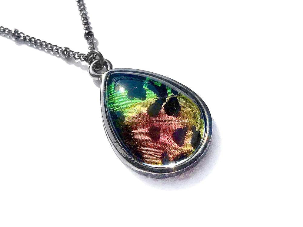Real Butterfly Wing necklace Taxidermy Moth