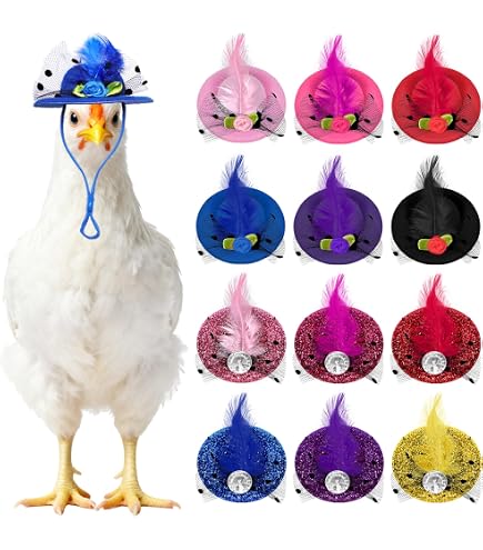 Amazon.com: ComiMag 6 Pieces Chicken Hats, Doll Hats, Bear  display picture 2