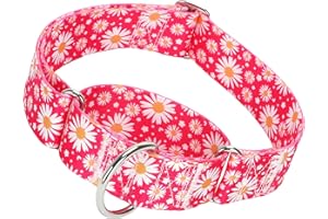 MAOWUWUJOZ 1.5 Inch Martingale Dog Collar - No Pull Daisy Design Nylon Training Collar for Medium, Large & XL Dogs | Heavy Duty Adjustable Choke-Free Collar for Large Breed Pets (Hot Pink Daisy L