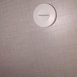 Inkbird IBS-TH1 Plus Bluetooth Registrador de Temperatura y ...