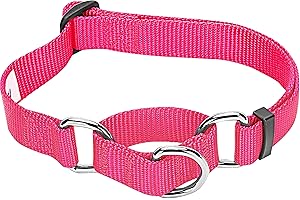 Blueberry Pet Essentials Martingale Safety Training Dog Collar, French Pink, Medium, Heavy Duty Nylon Adjustable Collars for Dogs