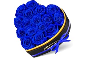 MAMAMIKO 16 Preserved Roses in Heart Shape Gift Box for Her - Forever Flowers for Delivery, Eternal Rose Mothers Gifts for Mom, Wife Anniversary Birthday Gifts for Women, Blue