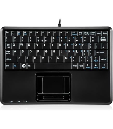 Amazon.com: Lenovo ThinkPad Compact USB Keyboard with Trackpoint
