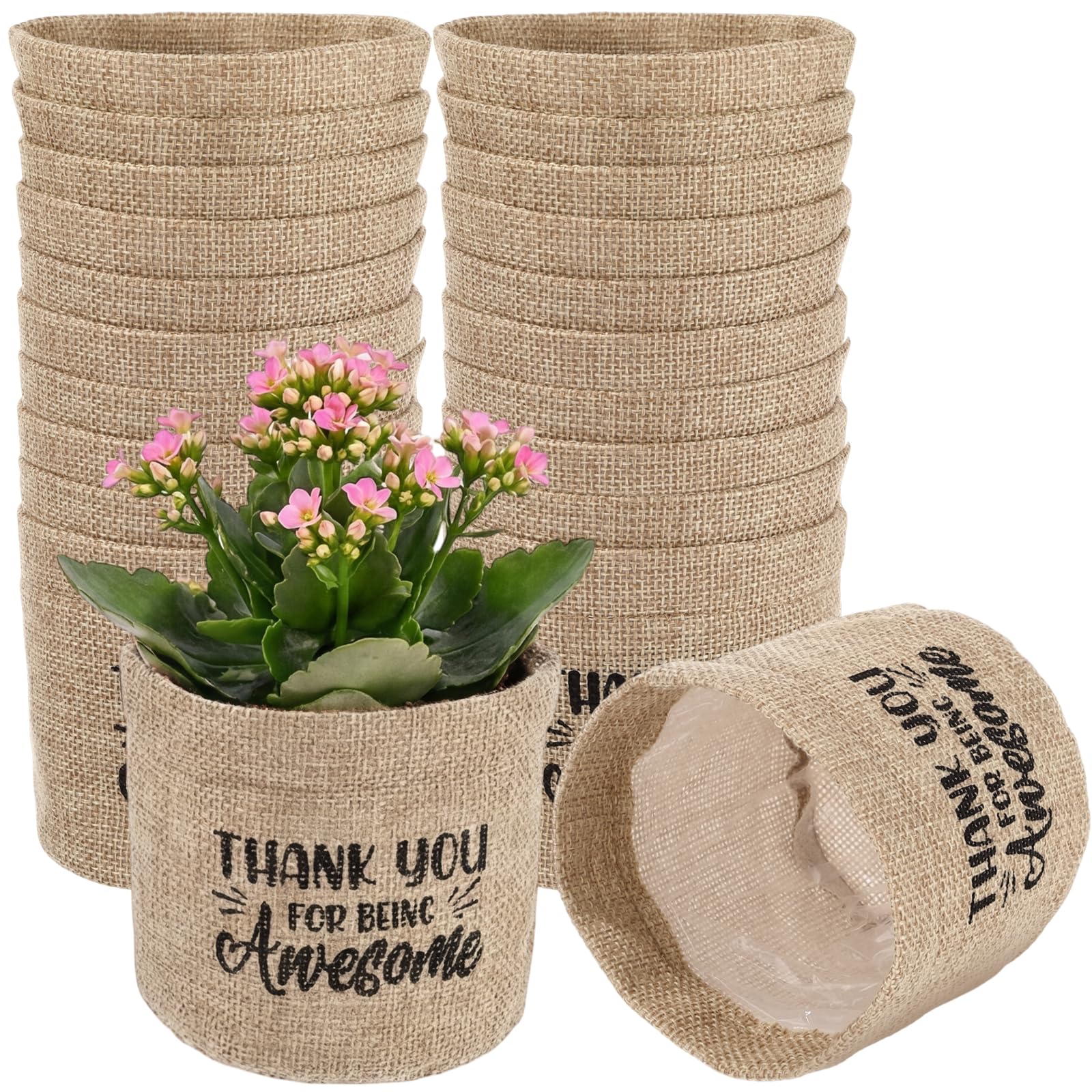 Photo 1 of SATINIOR 24 Pack Burlap Thank You Gifts Succulents Planter Pots, Mini Succulent Wraps Bags with Drainage Hole Thank You for Being Awesome Appreciation Gifts for Coworkers Employee Teacher Office Decor