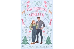 The Promise of Forever: A Small Town, Best Friend's Brother, Single Dad Winter Romance (Holly Ridge Book 2)