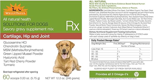 recommended dose of glucosamine for dogs