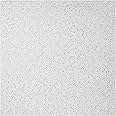 Genesis Printed Pro Ceiling Tiles - Easy Drop-in Installation – Waterproof, Washable and Fire-Rated - High-Grade PVC to Prevent Breakage (6" x 6" Sample)