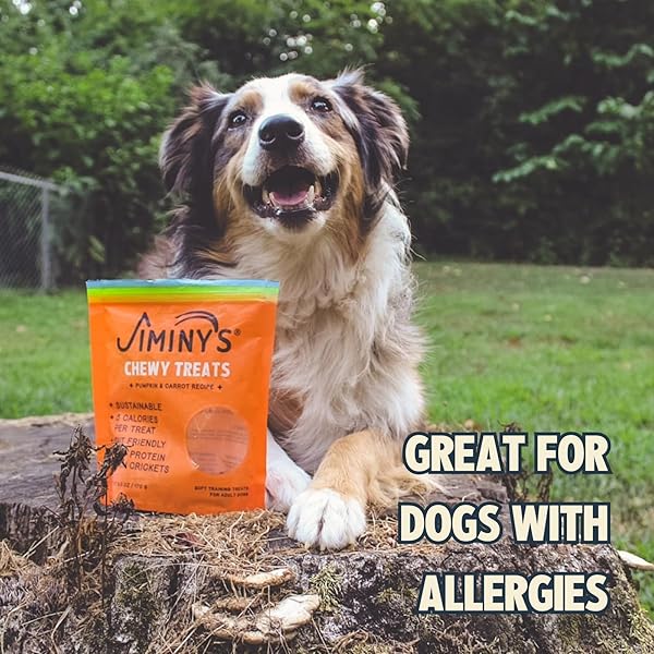 JIMINY’S CHEWY CRICKET TRAINING TREATS FOR DOGS, LOW CALORIE, HYPOALLERGENIC, MADE IN USA, 6OZ, PUMPKIN & CARROT (PACK OF 1)
