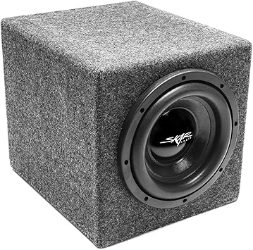 dual 300w subwoofer