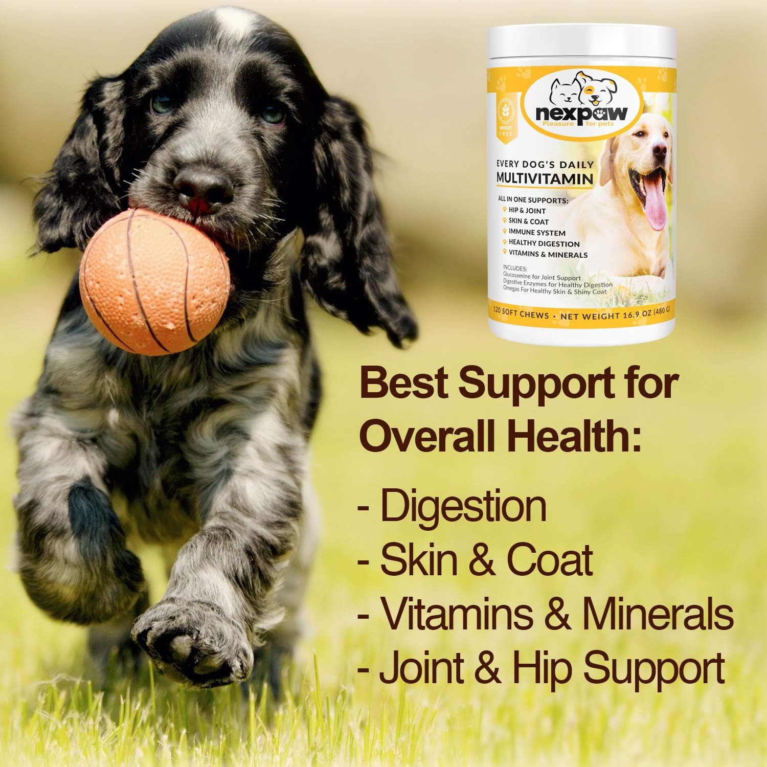 NEXPAW Multivitamins for Dogs. All-in-One Daily Dog Vitamins and Supplements for Joints, Immune System, Digestion, Skin & Coat. 120 Wheat Free Soft Chews : Pet Supplies