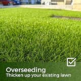 Garden Lawncare Guy ColdPro Winter Grass Seeds 5kg Germinates 5°C view 5