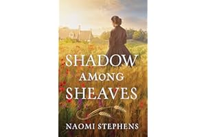 Shadow among Sheaves