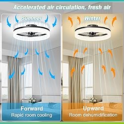 JOFIOS Ceiling Fans with Lights, 15.7in Black Flush