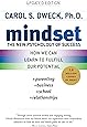 Mindset: The New Psychology of Success