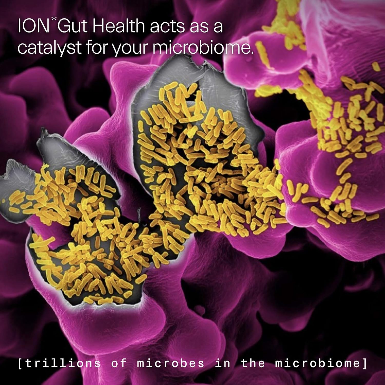 ION*Gut Health | Promotes Digestive Wellness, Strengthens Immune Function, Alleviates Gluten Sensitivity, Enhances Mental Clarity | 2-Month Supply (32 oz.): Health & Personal Care
