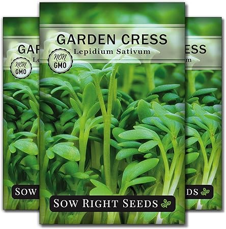 Amazon Com Sow Right Seeds Cress Seed For Planting All Non