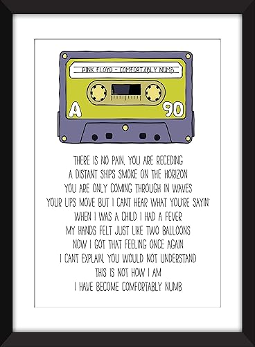 Amazon Com Pink Floyd Comfortably Numb Lyrics Unframed Print