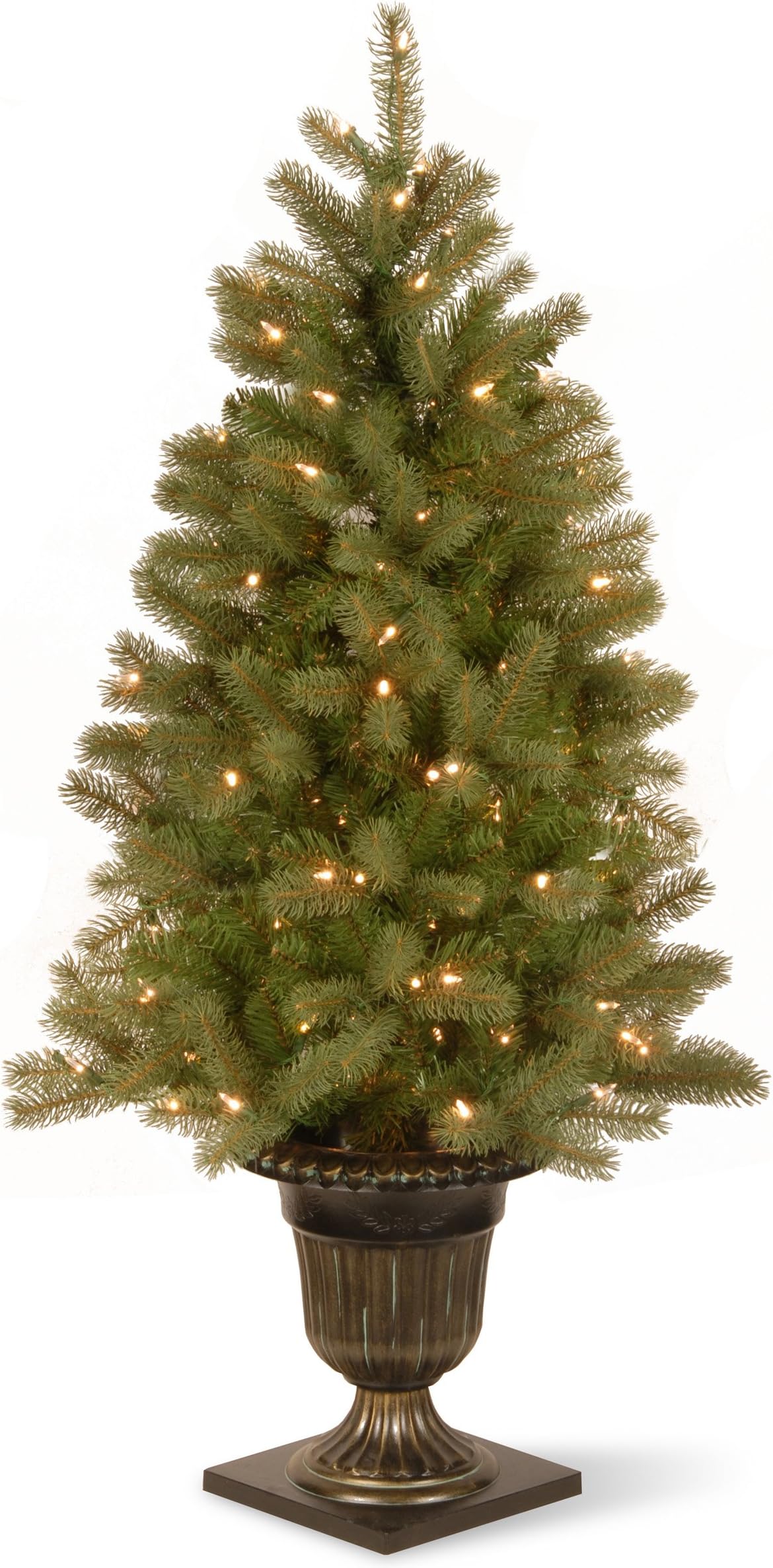 Entrance Downswept Douglas Fir, 4 Feet
