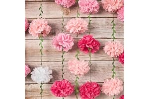 Homarkable Gradient Pink Tissue Paper Pom Pom Garlands, Paper Flowers for Birthday Decorations, Baby Shower, Wedding Engagement, Bridal Shower, Spring Summer Party Decorations