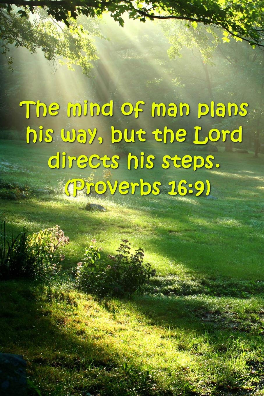 Bible Verses About Man 2019 Weekly Planner Bible Verse Man Plans Lord Directs Proverbs 16 9 134  Pages: (Notebook, Diary, Blank Book) (2019 Planners Calendars Organizers  Datebooks Appointment Books Agendas): Journals, Distinctive: 9781729774731:  Books