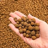 bhomescent LECA Clay Pebbles 1L for Hydroponics, Orchids, Pots view 1
