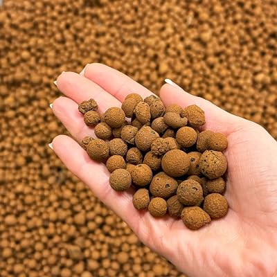bhomescent LECA Clay Pebbles 3L for Hydroponics Orchids Drainage