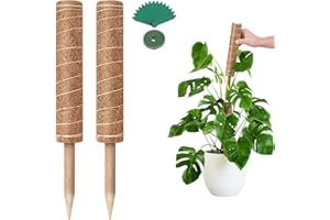 GROWNEER 24 Inch Moss Pole for Plants Indoor, 2 Pcs 15 Inch Stackable Coir Totem Monstera Support, Moss Sticks with 15pcs Lab