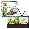 D'Eco Glass Castle Plant Terrarium (10x9x5) - Black Geometric Metal Planter w Wood Base - Grow Your Own Succulents, Plants, Moss, Ferns in an Indoor Home Garden- Great Plant Office Decor Gift