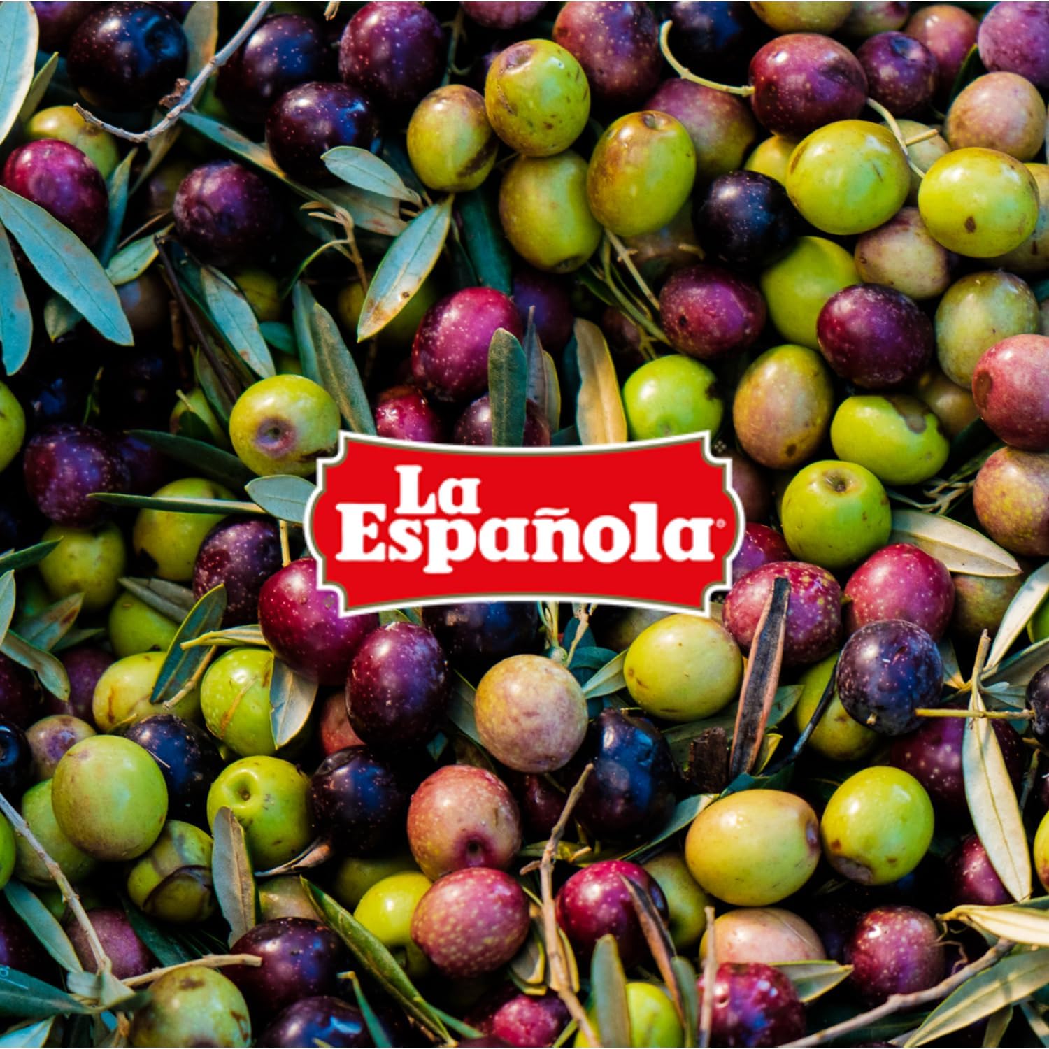 LA ESPAÑOLA - Natives Olivenöl Extra (5L) 4