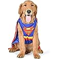 DC Comics Superhero Superman Halloween Dog Costume - X-Small - | DC Superhero Halloween Costumes for Dogs, Funny Dog Costumes | Officially Licensed DC Dog Halloween Costume Blue