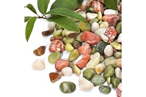 RUOJAS 2.2 lb Pebbles for Indoor Plants, 1/2 Inch Decorative Rocks for Potted Plants, Natural Polished Pebbles for Vases, Succulent, Planters, Landscaping Drainage and Outdoor Gardening