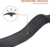 HEELE Reflective Dog Collar Nylon Padded Neoprene Sky Blue M 34-52cm view 5