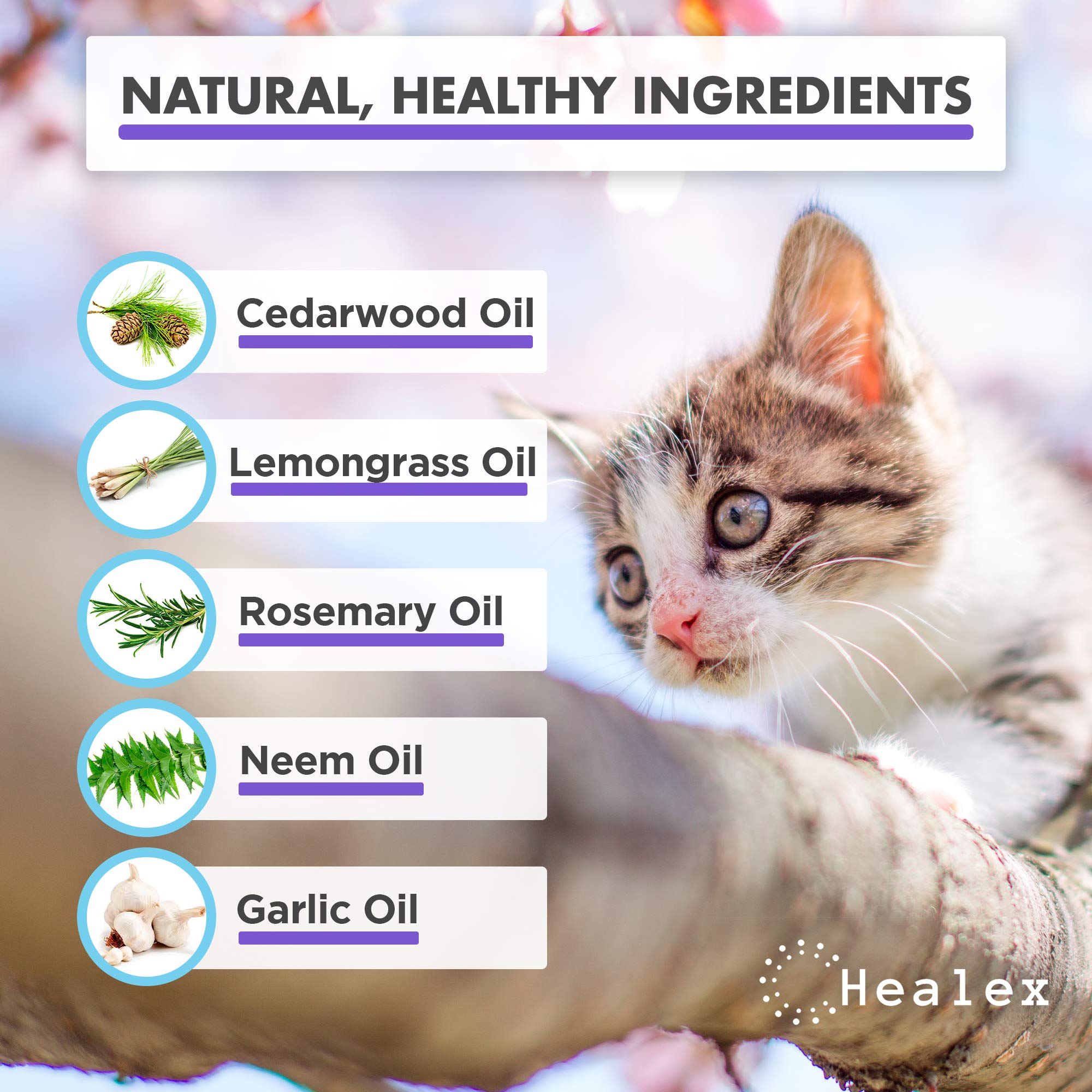 Healex Cat Flea Collar for Flea and Tick Treatment and Prevention 100