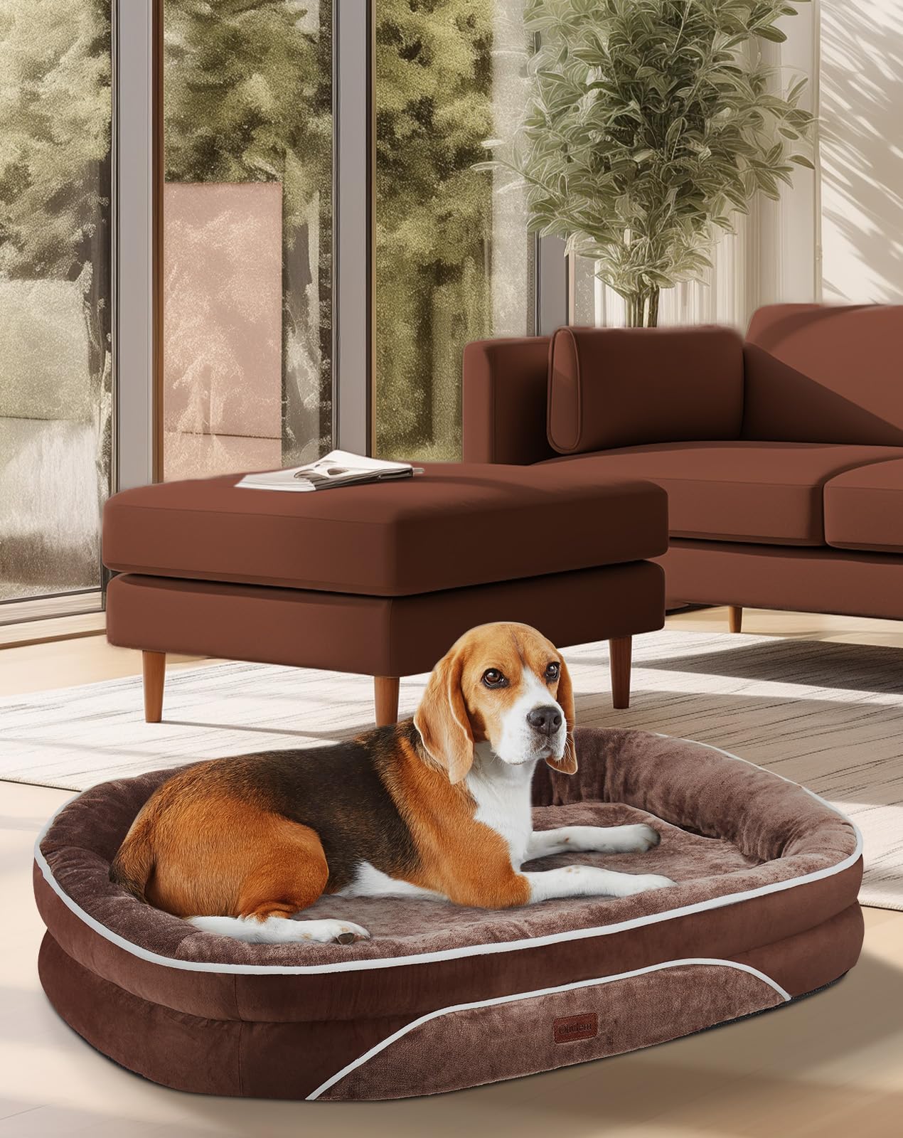 Photo 1 of OhGeni Orthopedic Dog Couch Pet Sofa Large Sized Cat Beds with Comfort Foam Support, Soft Comfortable Fabric, Machine Washable Waterproof Removable Cover, 35-Inch (Brown)