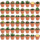 Shihanee 48 Pcs Bulk Succulent Candles Decorative Cactus Tealight Candles Handmade Mini Terracotta Clay Holders House Warming Wedding Baby Shower Spa Mexican Coworkers Teacher Birthday Gifts(Red)