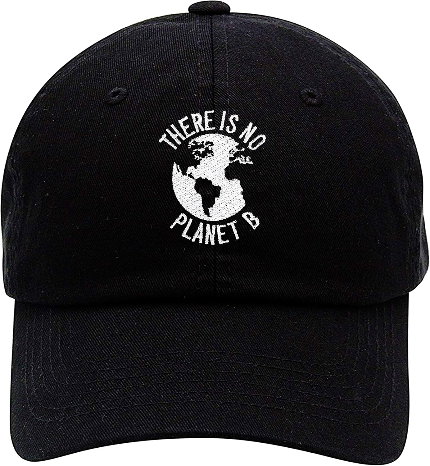 There Is No Planet B Hat Dad Cap Adjustable Global Warming Climate