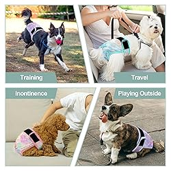 Grecle 3 Pack Female Dog Diapers - Reusable Diapers