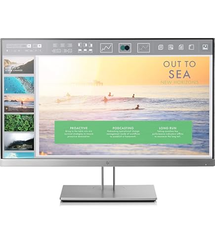 Amazon.com: HP E4U30A8#ABA EliteDisplay E190i 18.9'' LED