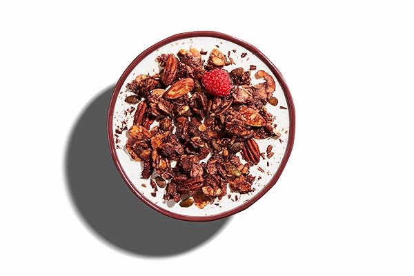 NUTRAIL NUT GRANOLA CEREAL, DARK CHOCOLATE, NO SUGAR ADDED, KETO, LOW CARB, GLUTEN FREE, GRAIN FREE, HEALTHY BREAKFAST 8 OZ. 1 COUNT