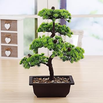 Kunst Bonsais Promondo