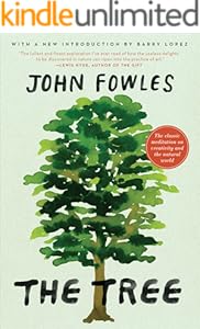 kindle best category lists