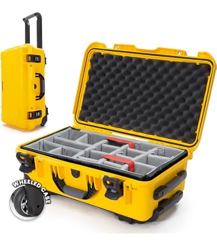 Amazon.com : SKB Cases 3i-1711-6DT iSeries Professional Camera