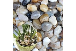 QPEY 3 lb River Rocks for Succulent Plants,Decorative Rocks Bonsai Garden Pebbles,Aquarium Rocks Garden Landscaping Stones for Fish Tank,Plants, Vase Fillers (Multicolor, 3 lb)