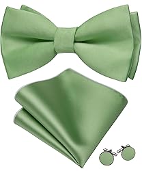 Barry.Wang Light Green Bow Ties for Men Pre-tied